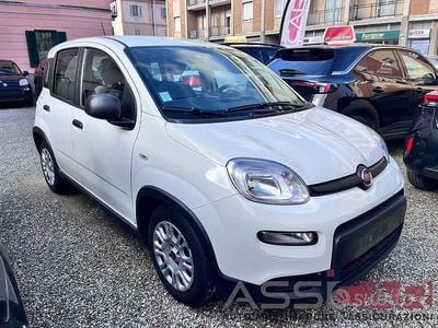 Usata Fiat Panda City Life 70 CV (51 kW) 2023 Bianco Utilitaria
