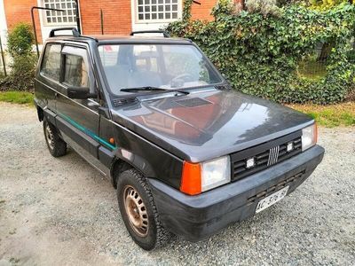 usata Fiat Panda 4x4 1100 i.e. cat Trekking