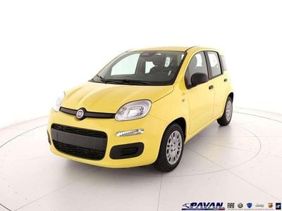 Nuova Fiat Panda Pop 65 CV (47 kW) 2026 Giallo Utilitaria