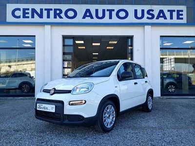 usata Fiat Panda 1.0 FireFly S&S Hybrid nuova a San Bonifacio