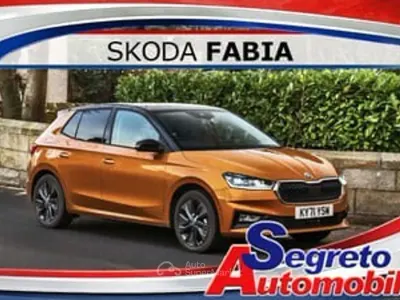 Usata Skoda Fabia