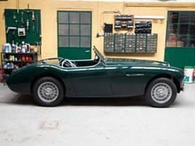 Usata Austin Healey 100 90 CV (66 kW) 1956 Verde Cabrio