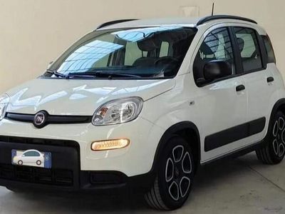usata Fiat Panda 1.0 Hybrid 2022 in arrivo