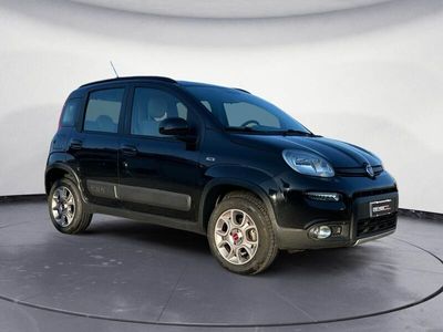 usata Fiat Panda 4x4 Panda 1.3 mjt 16v Antartica 75cv