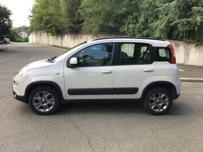 Usata Fiat Panda 4x4 S 75 CV (55 kW) 2013 Beige Utilitaria