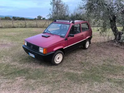 Usata Fiat Panda Young 54 CV (39 kW) 2001 Utilitaria