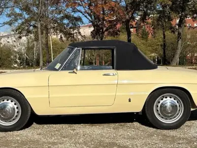 Usata Alfa Romeo Spider 1960 Cabrio