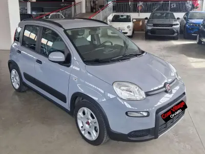 Usata Fiat Panda City Life 69 CV (50 kW) 2023 Grigio Utilitaria