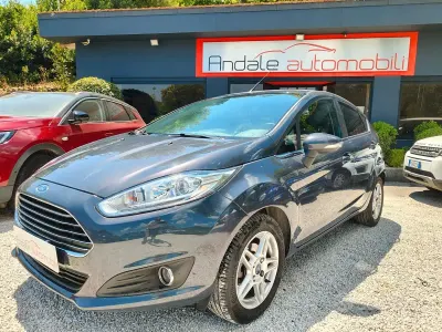 Usata Ford Fiesta Titanium 95 CV (69 kW) 2014 Grigio Utilitaria