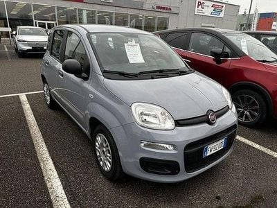 Usata Fiat Panda Easy 69 CV (50 kW) 2019 Grigio Utilitaria