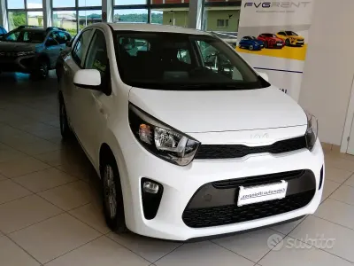 Usata Kia Picanto Urban 67 CV (49 kW) 2024 Bianco Utilitaria