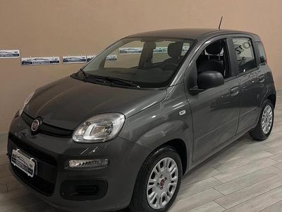 Usata Fiat Panda 70 CV (51 kW) 2022 Grigio Utilitaria