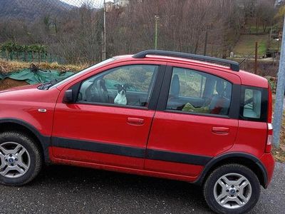 Usata Fiat Panda 60 CV (44 kW) 2006 Rosso Utilitaria