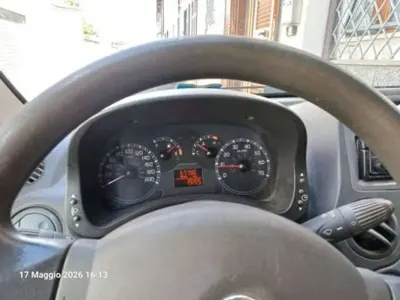 Usata Fiat Panda Dynamic 60 CV (44 kW) 2008 Bronzo Utilitaria