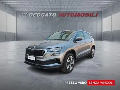Usata Skoda Karoq