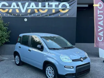 Usata Fiat Panda 69 CV (50 kW) 2023 Grigio Utilitaria