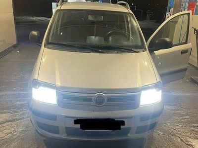 Usata Fiat Panda 60 CV (44 kW) 2010 Grigio Utilitaria