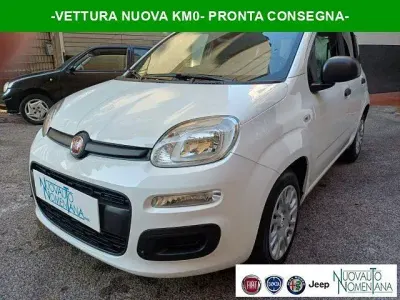 Usata Fiat Panda