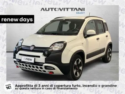 Usata Fiat Panda Cross Cross 70 CV (51 kW) 2024 Bianco Utilitaria