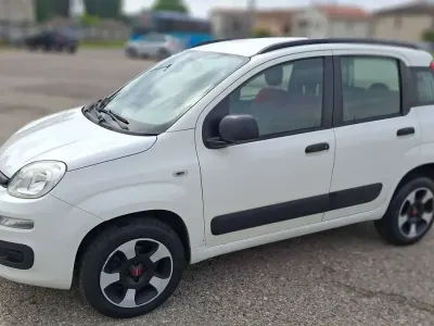 Usata Fiat Panda 85 CV (62 kW) 2015 Bianco Utilitaria