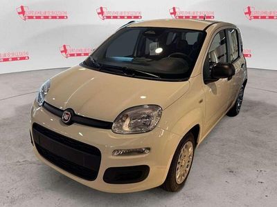 Nuova Fiat Panda Icon 69 CV (50 kW) 2025 Bianco Utilitaria