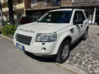 Usata Land Rover Freelander 2 SE 160 CV (117 kW) 2010 Bianco SUV