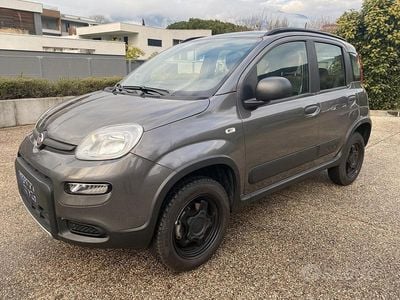 Usata Fiat Panda 4x4 Wild 86 CV (63 kW) 2022 Grigio Utilitaria