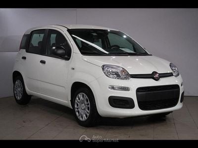 Nuova Fiat Panda Icon 71 CV (52 kW) 2026 Bianco Utilitaria