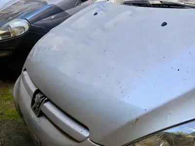 Usata Peugeot 307