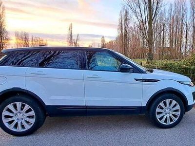 usata Land Rover Range Rover evoque I 2016 5p 2.0 td4 SE 150cv