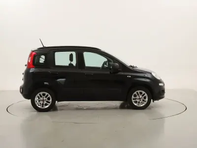 Usata Fiat Panda Lounge 69 CV (50 kW) 2021 Neronero Utilitaria