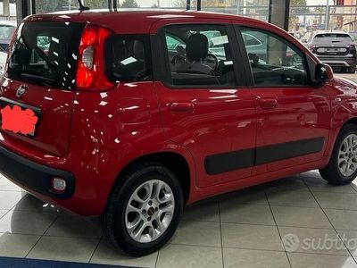 Usata Fiat Panda Lounge 69 CV (50 kW) 2017 Rosso Utilitaria