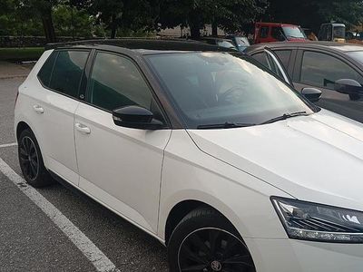 Usata Skoda Fabia 2020 Utilitaria