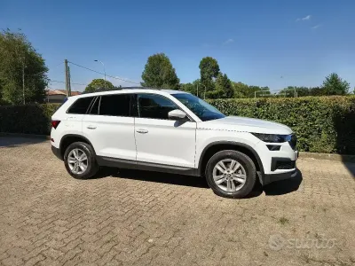 Usata Skoda Kodiaq 150 CV (110 kW) 2022 Bianco SUV