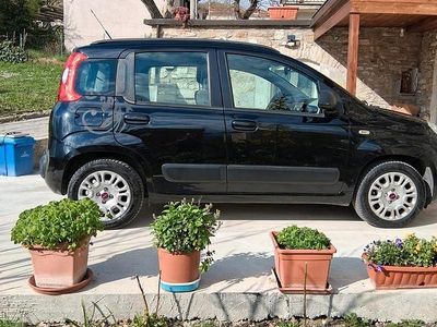 Usata Fiat Panda 80 CV (58 kW) 2016 Nero Utilitaria