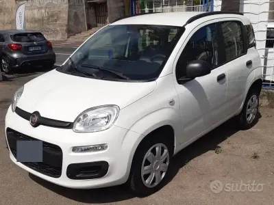 Usata Fiat Panda 85 CV (62 kW) 2013 Bianco Utilitaria