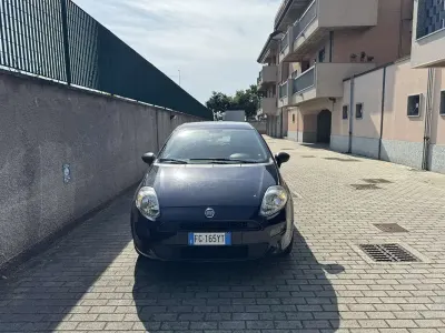 Usata Fiat Punto Lounge 69 CV (50 kW) 2017 Utilitaria