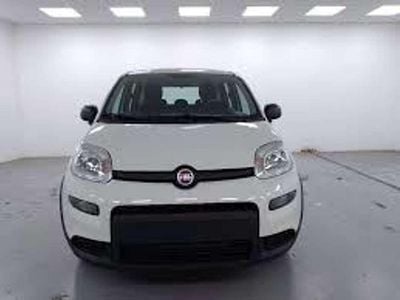 Nuova Fiat Panda S 69 CV (50 kW) 2025 Bianco Utilitaria