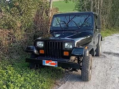 Usata Jeep Wrangler Laredo 103 CV (75 kW) 1990 SUV