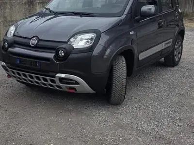 Usata Fiat Panda Cross Cross 95 CV (69 kW) 2017 Grigio Utilitaria