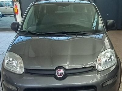 Usata Fiat Panda 4x4 S 86 CV (63 kW) 2020 Grigio Utilitaria