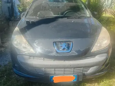 Usata Peugeot 206