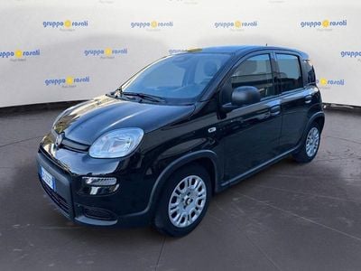Usata Fiat Panda