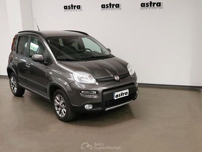 Usata Fiat Panda 4x4 S 95 CV (69 kW) 2017 Grigio colosseo Utilitaria