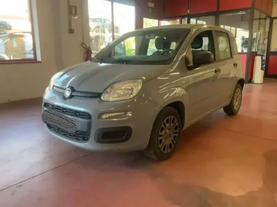 Usata Fiat Panda Easy 69 CV (50 kW) 2019 Argento Utilitaria