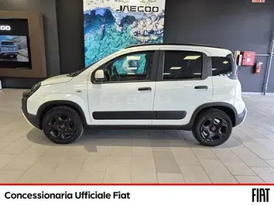 Usata Fiat Panda Cross Cross 70 CV (51 kW) 2022 Bianco Utilitaria