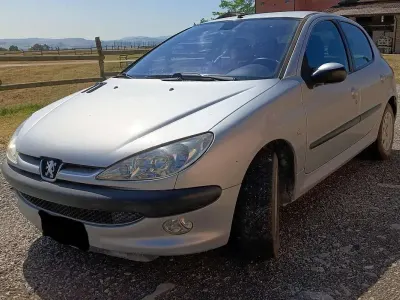 Usata Peugeot 206 90 CV (66 kW) 2004 Berlina