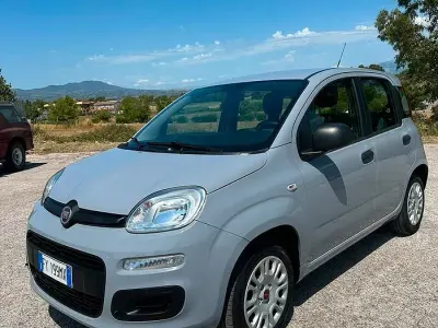 Usata Fiat Panda 69 CV (50 kW) 2019 Grigio Utilitaria