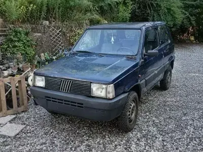 Usata Fiat Panda
