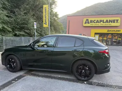 Usata Alfa Romeo Stelvio Business 190 CV (139 kW) 2020 Verde SUV